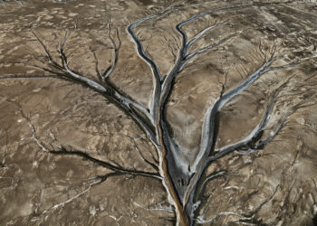 “Colorado River Delta #12”, 2011.