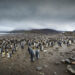 Cinque giorni a scattare foto in compagnia di 120.000 pinguini