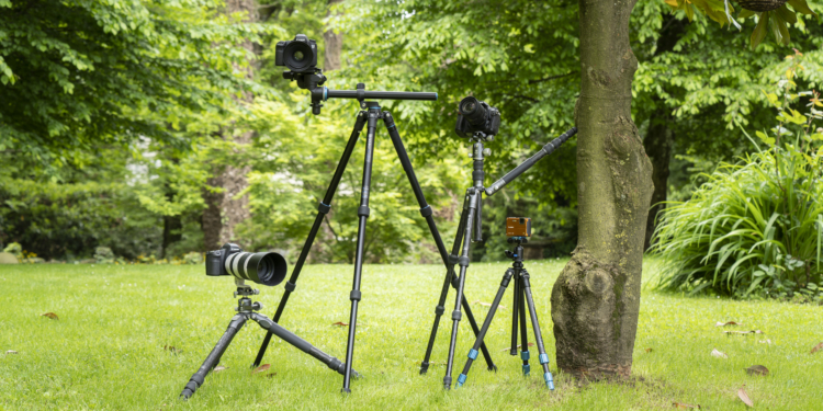 Treppiedi Benro: dalla testa ai piedi