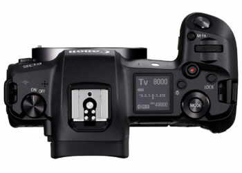 Dice che il bot è senziente e Google lo sospende