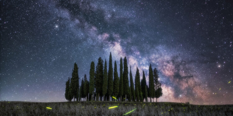 Intervista a Stefano Pellegrini