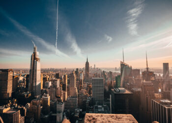 Laowa ci mette il cervello