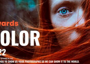 Color Awards 2022