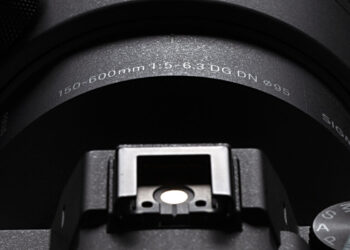 Sigma 150-600mm f/5-6,3 DG DN OS | Sports