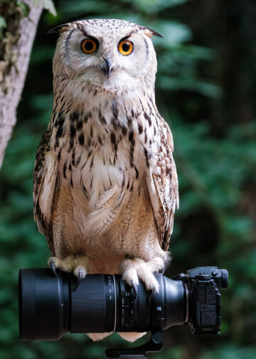 Tamron va lungo su Fujifilm: arriva il 150-500mm f/5-6,7 Di III VC VXD