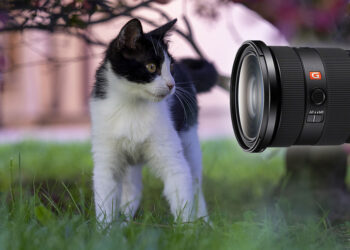 Test Sony G Master FE 24-70mm f/2,8 II