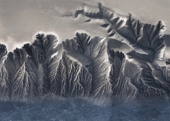 Epson Pano Awards 2022, i vincitori