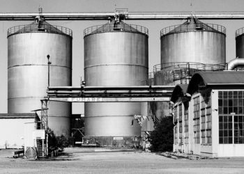 Manuel Cicchetti. Tempo intermedio