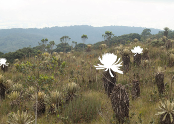 I migliori scatti del 13° Premio PHOTO IILA in mostra a Roma