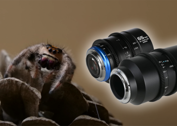 Laowa 65mm e 100mm Macro 2x: solo nei migliori cinema