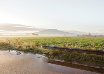 Mario Ferrara campagna periurbana Napoli Caserta