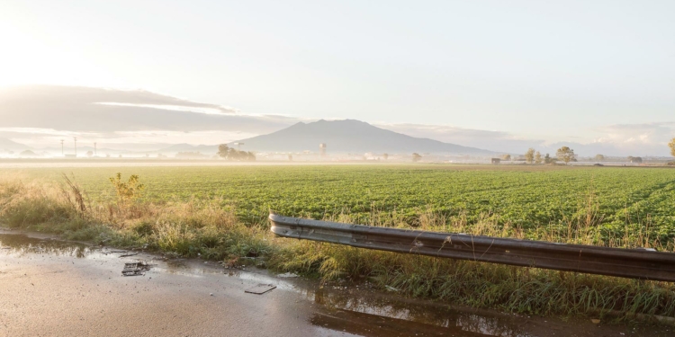 Mario Ferrara campagna periurbana Napoli Caserta
