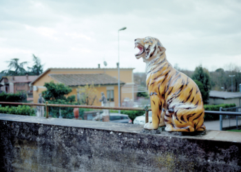 Federico Pacini - Non andare troppo lontano