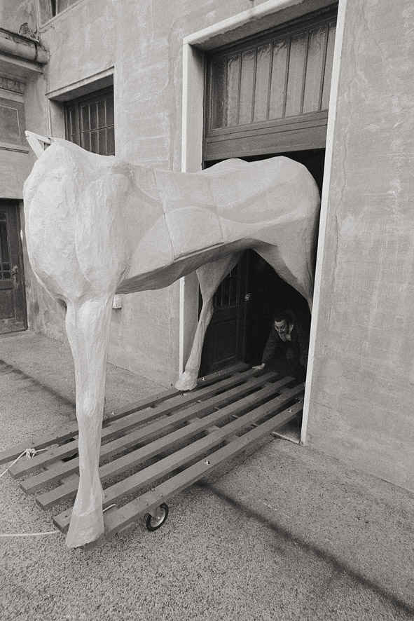 31 Il busto di Marco Cavallo esce dalle porte del San Giovanni, Trieste, 25 febbraio 1973 courtesy Dipartimento di salute mentale di Trieste