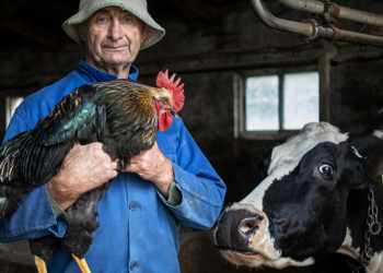 Mauro De Bettio. 40 Seasons of Humanity