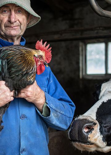 Mauro De Bettio. 40 Seasons of Humanity