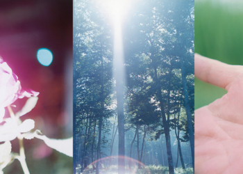 Rinko Kawauchi vince il premio “Outstanding Contribution to Photography” dei SWPA 2023