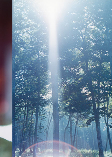 Rinko Kawauchi vince il premio “Outstanding Contribution to Photography” dei SWPA 2023