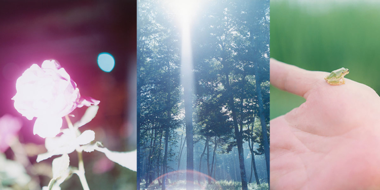 Rinko Kawauchi vince il premio “Outstanding Contribution to Photography” dei SWPA 2023