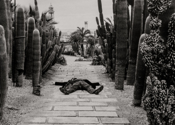 Sagacity di Fulvio Ventura, a cura di Giulia Zorzi