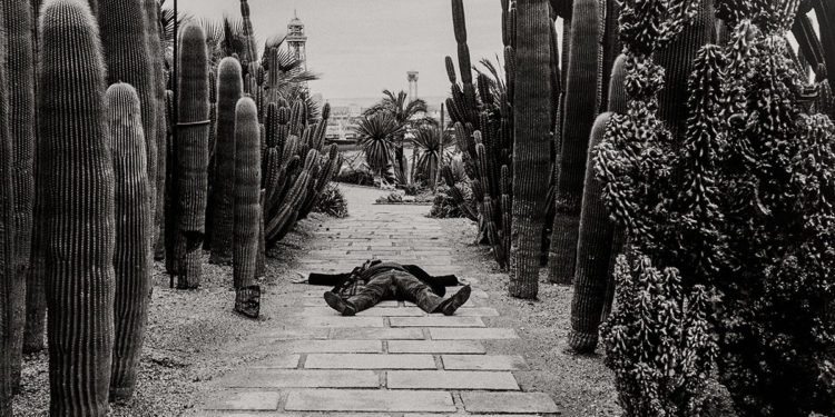 Sagacity di Fulvio Ventura, a cura di Giulia Zorzi