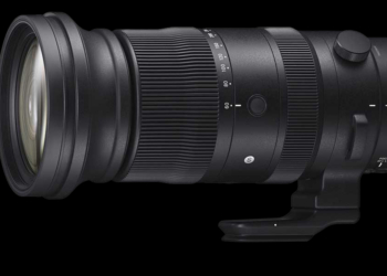 Sigma S 60-600mm f/4,5-6,3 DG DN OS Lifestyle