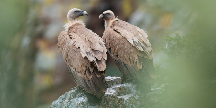 Gianluca Damiani Sentieri Invisibili
