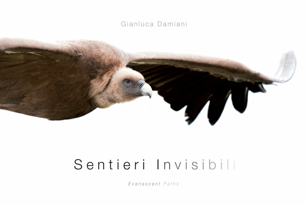 Gianluca Damiani Sentieri invisibili libro