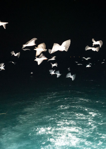 Italian Sustainability Photo Award 2023
