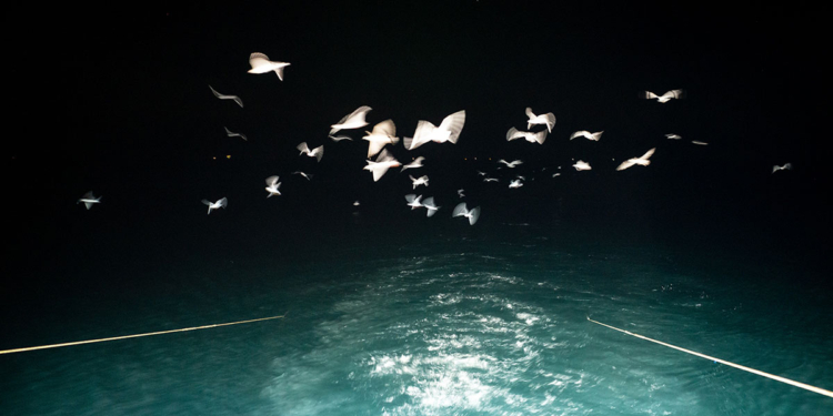 Italian Sustainability Photo Award 2023