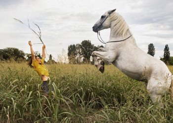 Stephanie Gengotti, “Circus Love”