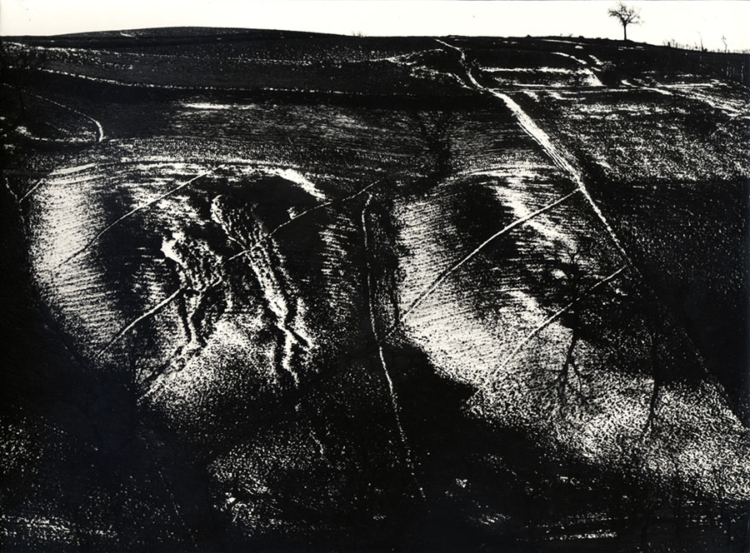 Mario Giacomelli Metamorfosi della terra, 1958
