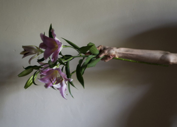 Simona Ghizzoni, Il braccio di Simona con fiori, da Odd Days, Todi, 2008 ©Simona Ghizzoni