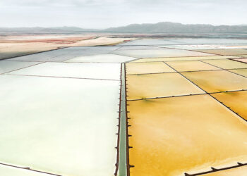 Tom Hegen, Salt Works