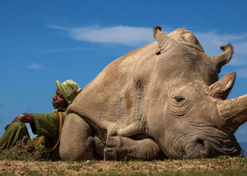 © Matjaz Krivic, Travel Photographer of the Year 2022