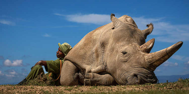 © Matjaz Krivic, Travel Photographer of the Year 2022