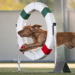Come fotografare cani sportivi