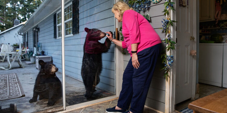 © Corey Arnold, Stati Uniti, finalista Professional competition, Wildlife & Nature, Sony World Photography Awards 2023