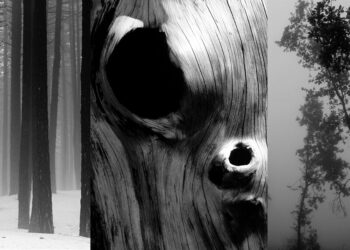 mostra fotografica Francesco Pennisi Respiro