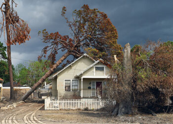 Mostra fotografica Robert Polidori Photographs