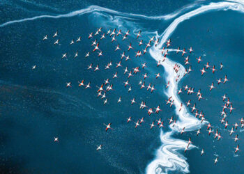 © HGY, Top 10 dell'ottava edizione di SkyPixel/Natura.