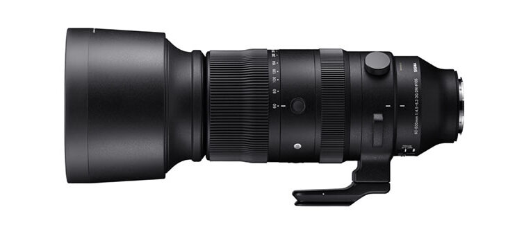 TIPA Best superzoom lens: Sigma 60-600mm f/4.5-6.3 DG DN OS | Sports