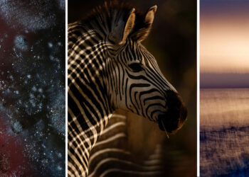 Castiglion Fiorentino Photo Fest