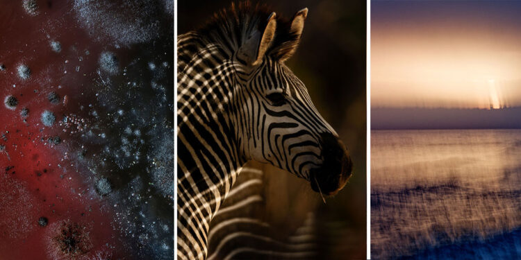 Castiglion Fiorentino Photo Fest