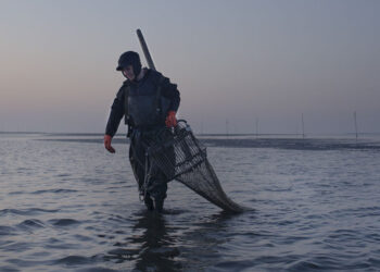 Chiara Negrello Like The Tide