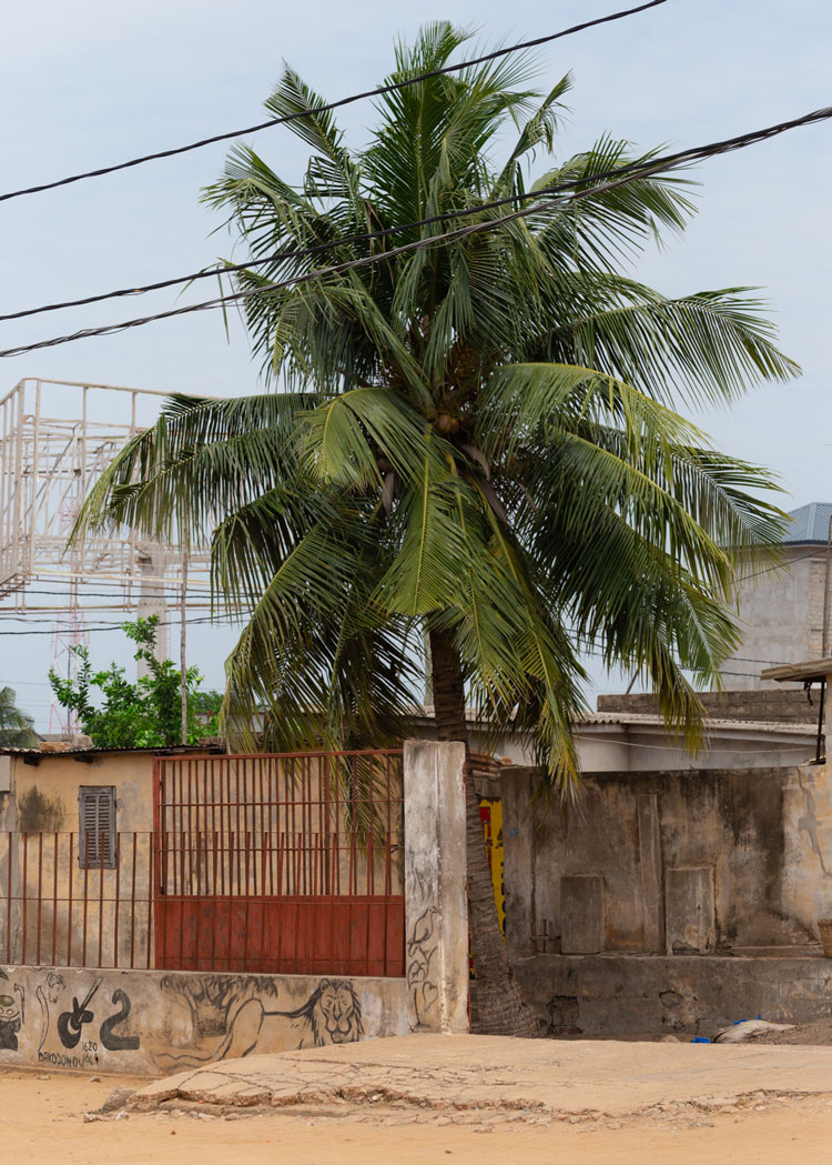 Francesco Merlini, Akodessawa, L’entrata del mercato, Akodessawa Marche des Feticheurs (Akodessawa Fetish Marke), Lomé, Togo © Francesco Merlini