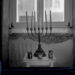 mostra fotografia © Massimiliano Camellini. A ribbon and a prayer