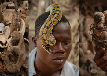 Francesco Merlini “Akodessawa”