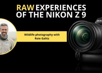 Wildlife photography with Nikon Ambassador Roie Galitz