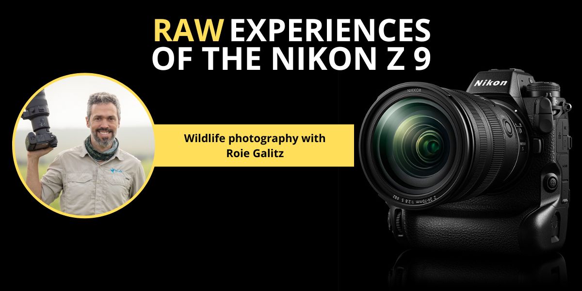 Wildlife photography with Nikon Ambassador Roie Galitz